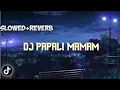 DJ PAPALI MAMAM Slowed + Reverb🎧