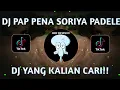 Download Lagu DJ pap pap pena soriya padele full bas dj viral2021🎧😊