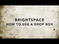 Brightspace Drop Box