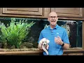 Ron Wendy Welcome You To Petland Iowa City