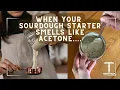 Why Does Your Sourdough Starter Smell Like ACETONE