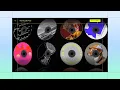 Build along to create an interactive section with a mouse parallax effect