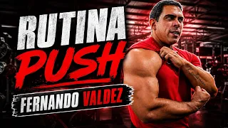 PUSH  BRUTAL | Pecho, Hombro y Tríceps FERNANDO VALDEZ