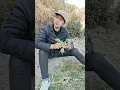 Download Lagu Mastran burung lucu viral kocak ngakak meme funny memes moments