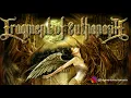 Download Lagu Fragment Of Euthanasia - Bidadari | Official Audio