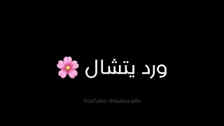 اغنية رمش خطاف بصوت فريدة  شاشة سوداء كرومات لتصميم يابابا  بدون حقوق النشر  دندنها