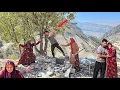 Download Lagu Soraya seeks tension and a way to find Fatima and Amir's new location using Ayas(Kohrig family)
