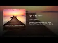 Sign of the Times - Andrew O'Hara