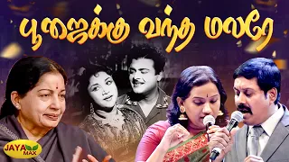  poojaiku vandha malare song msv songs paadha kaanikkai movie jaya max