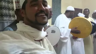 النسيم الهبة ليل جلسات محمود الضعيف  النسيم الهبة ليل جلسات محمود الضعيف