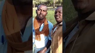 تراث المسيريه العازف فضل الله الشريف 