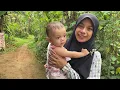 Download Lagu MAIN KE BAPAK LANJUT NYANTAI DI SAWAH UWA 