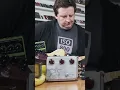 Download Lagu NOTHING will ever sound like the Klon...except for the Digitech Bad Monkey.