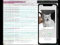 Using Detox tool for testing end-to-end on React Native