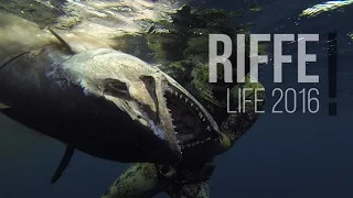 Spearfishing – Riffe Life 2016