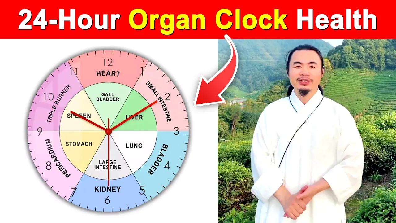Outline Video Tai Chi Practices for Complete 24-Hour Organ Care