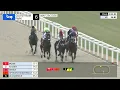 Gulfstream Park May 29 2026 Race 6