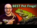Top 5 BEST Pet Frogs 100K Subscriber Silver Play Button Reveal