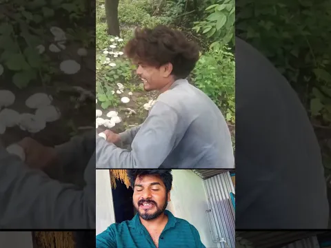 இயற்கை காளான் 🍄