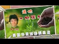 小哥费玉清演唱《送你一把泥土》
