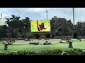 Download Lagu Bird Paradise | Wings of the World show #birdparadise #singapore #birds #flamingo #parrot