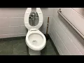 455 ELJER Signature Toilet at Menards