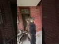 150 year old jailhouse in Tunica