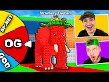Download Lagu CETTE ROUE CHOISIT NOS BRAINROTS !! (Incroyable)