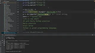 JD with Daily Python Practice Python Regular Expressions