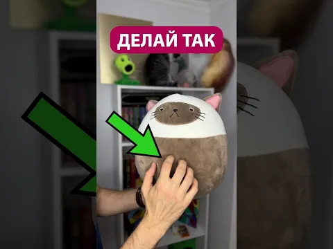 Почесать котику пузико #рекомендации #смешнойшортс #смешновидео