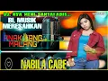 DJ PALING SANTAI - BL MUSIK MERESAHKAN - ANAK YANG MALANG