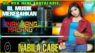 Download DJ PALING SANTAI - BL MUSIK MERESAHKAN - ANAK YANG MALANG MP3