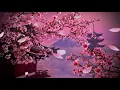 Download Lagu Красивая Японская Музыка Для Релаксации.Цветение Сакуры.Японская Музыка Кото
