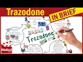 Trazodone Desyrel What is Trazodone Used For Dosage Side Effects Precautions