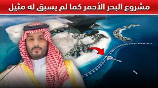 يتحول هذا الساحل السعودي الذي يضم    جزيرة بهدوء إلى وجهة سياحية فاخرة دندنها