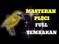 MASTERAN PLECI FULL TEMBAKAN MEWAH
