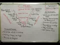 Lecture 4 3 V shaped model SDLC V Shaped Software Development Life Cycle
