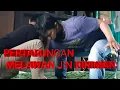 Download Lagu pengobatan Melawan jin kiriman