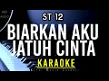 Download Lagu Karaoke - Biarkan Aku Jatuh Cinta / ST12