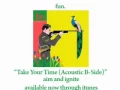 Lagu fun. - Take Your Time (Acoustic) [AUDIO]