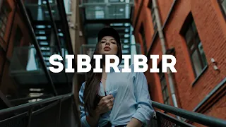 Shewandagn Hailu Sibirbir ሸዋንዳኝ ኃይሉ ስብርብር Dj Hunter 