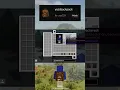 yyzsbackpack - Inventory Expansion