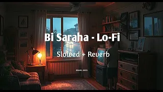                                                      عبير نعمة   بصراحة دندنها