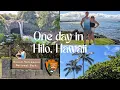 One Day in Hilo Hawaii How we Maximized our Port Day