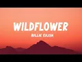 Download Lagu Billie Eilish - WILDFLOWER (Lyrics)