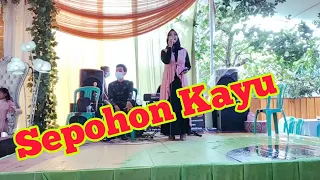 sepohon kayu cover ririn