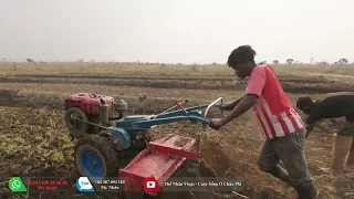 Thế Nhân || Domingo Lần Đầu Học Lái Máy Xới Đất, Mạ TĐ25 Đang Phát Triển Nhanh Khi Thời Tiết Ấm Lên.