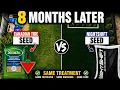 Cheap Grass Seed vs Elite Grass Seed - The Truth After 8 Months