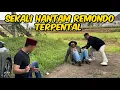 Download Lagu BANG REY LAMPUNG NGAMUK HAJAR REMONDO MAHESA TERSUNGKUR 