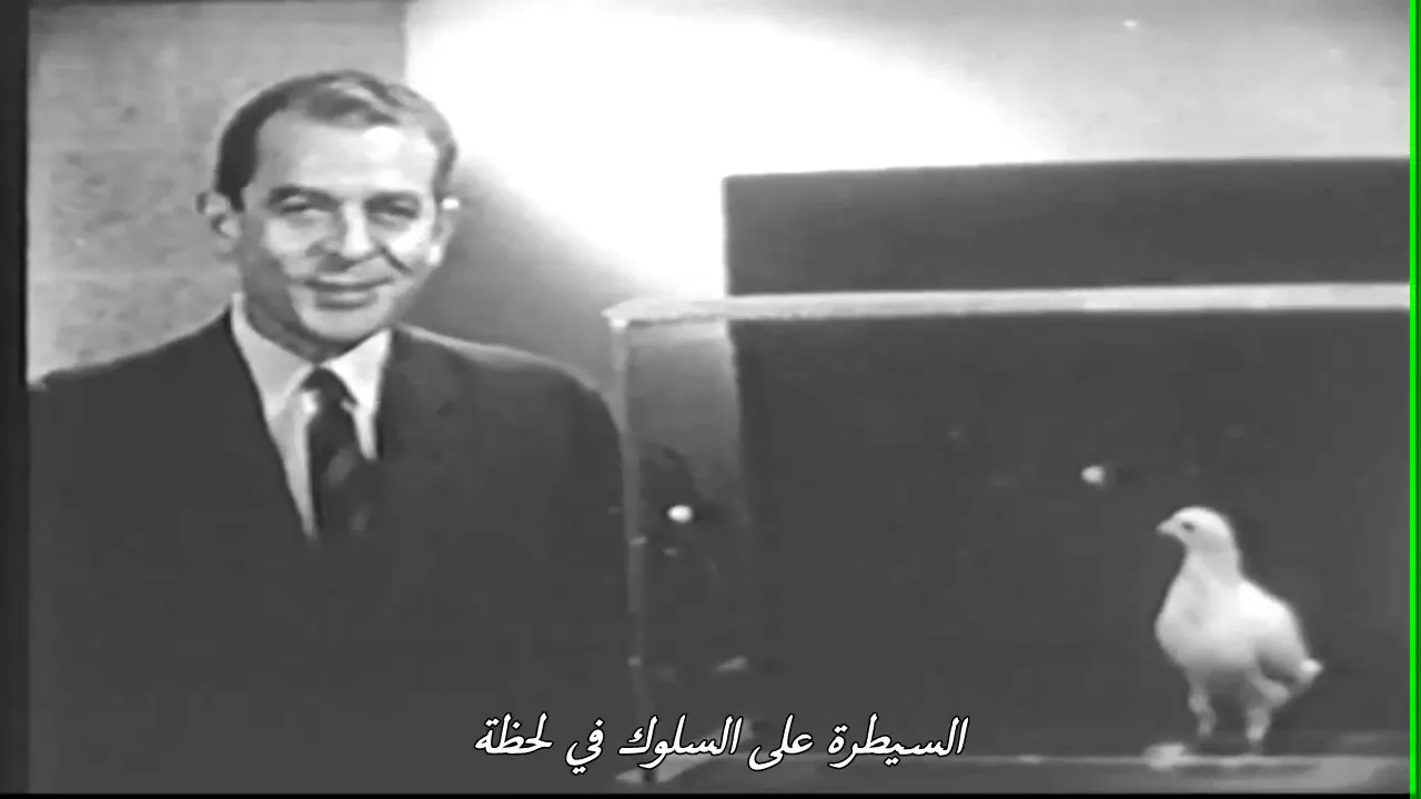 من الأرشيف مقابلة مع بورهوس فريديريك سكينر حول التعلم والسلوك سنة 1959 (تجربة الحمامة) مترجم